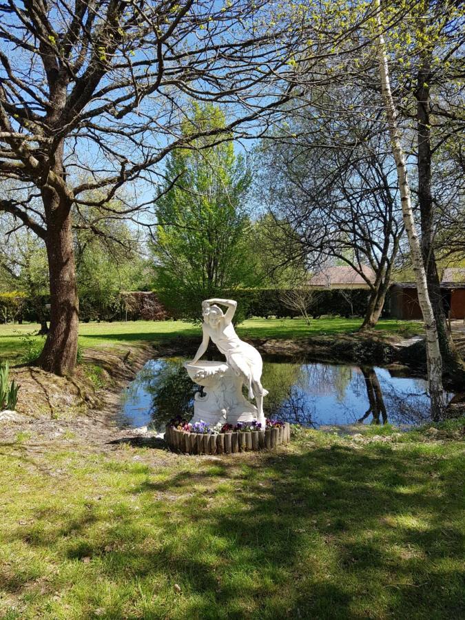 Le Clos De La Deesse La Ferté-Saint-Cyr Eksteriør billede