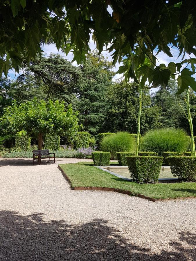 Le Clos De La Deesse La Ferté-Saint-Cyr Eksteriør billede