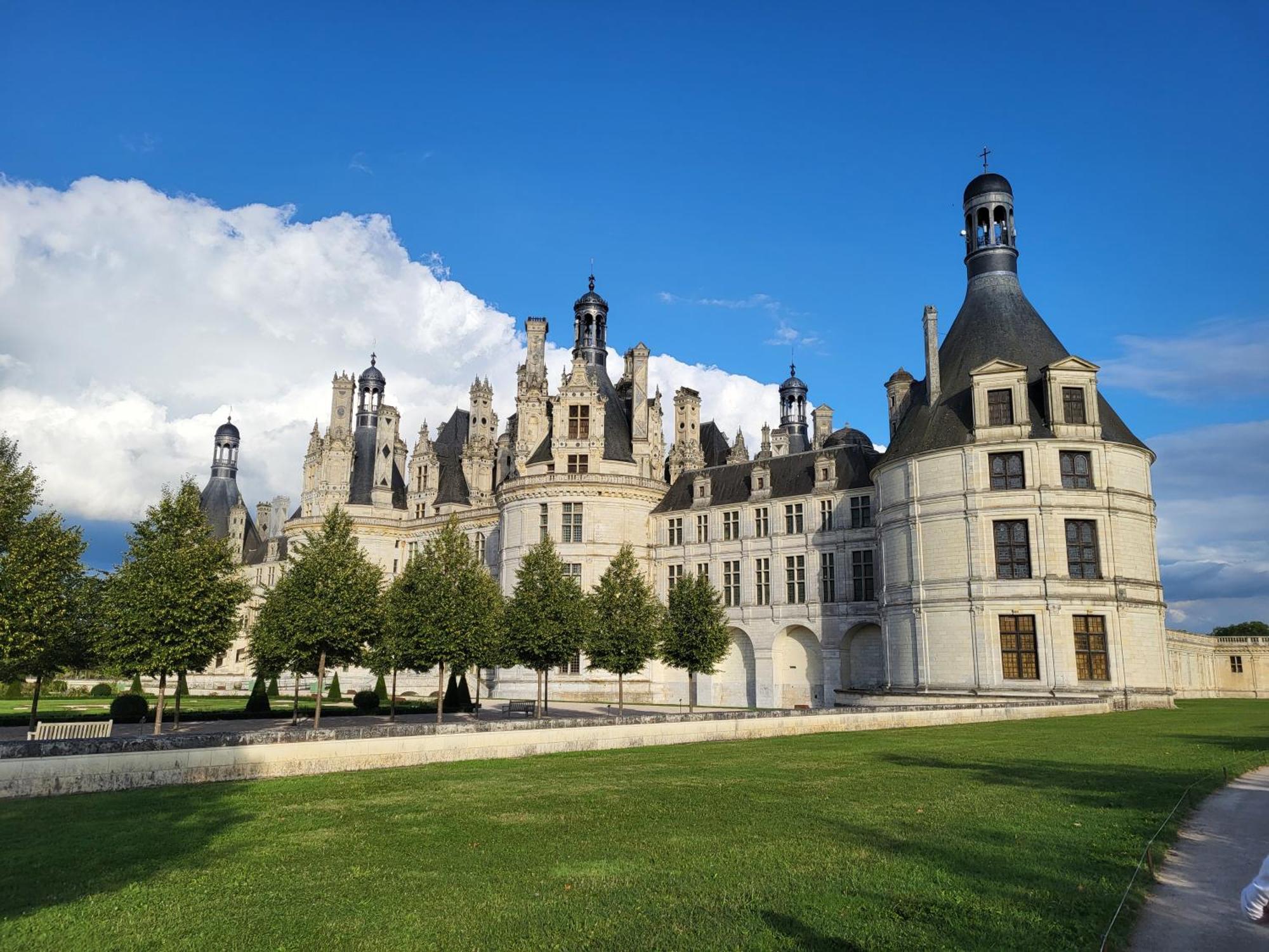 Le Clos De La Deesse La Ferté-Saint-Cyr Eksteriør billede